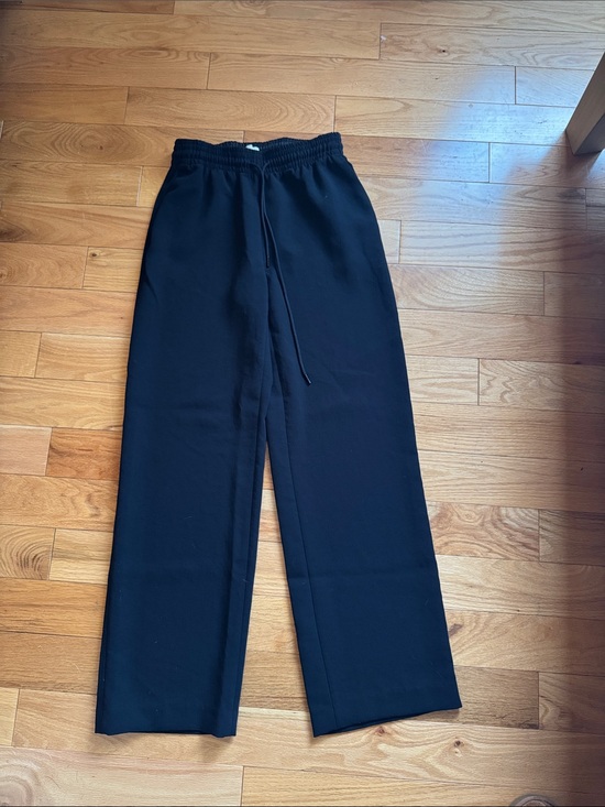 Aritzia Pants - Artizia Thesis Pants Black